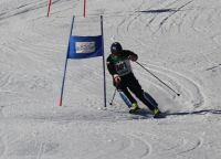 Landes-Ski-2015 36 Wolfgang Pesendorfer Landes-Ski-2015 36 Wolfgang Pesendorfer